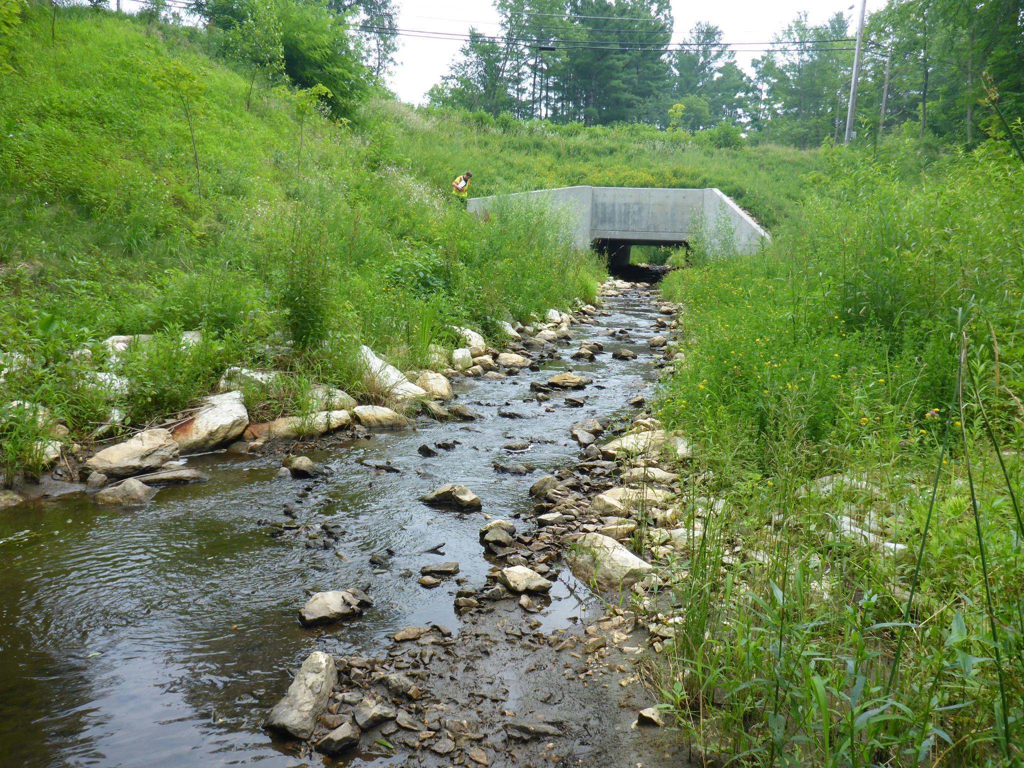 Shallow stream flows into a culvert