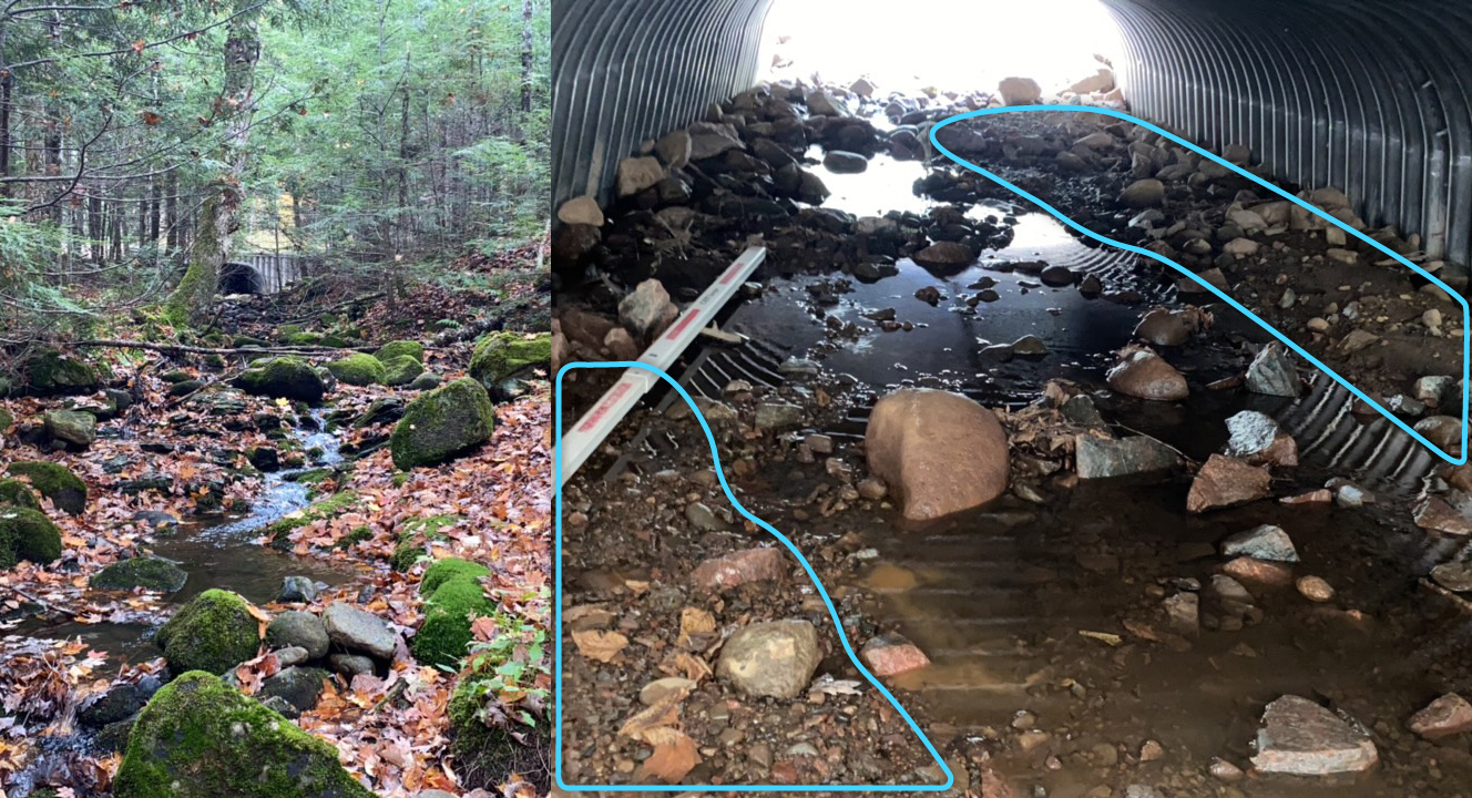 The left picture of these two photos shows a natural channel with a steep slope and an AOP culvert in the background. The natural channel is characterized by large boulders, boulder steps, and pools. The natural channel is not observed to have any notable depositional features. The right picture shows the interior of an AOP culvert with two large notable depositional features.